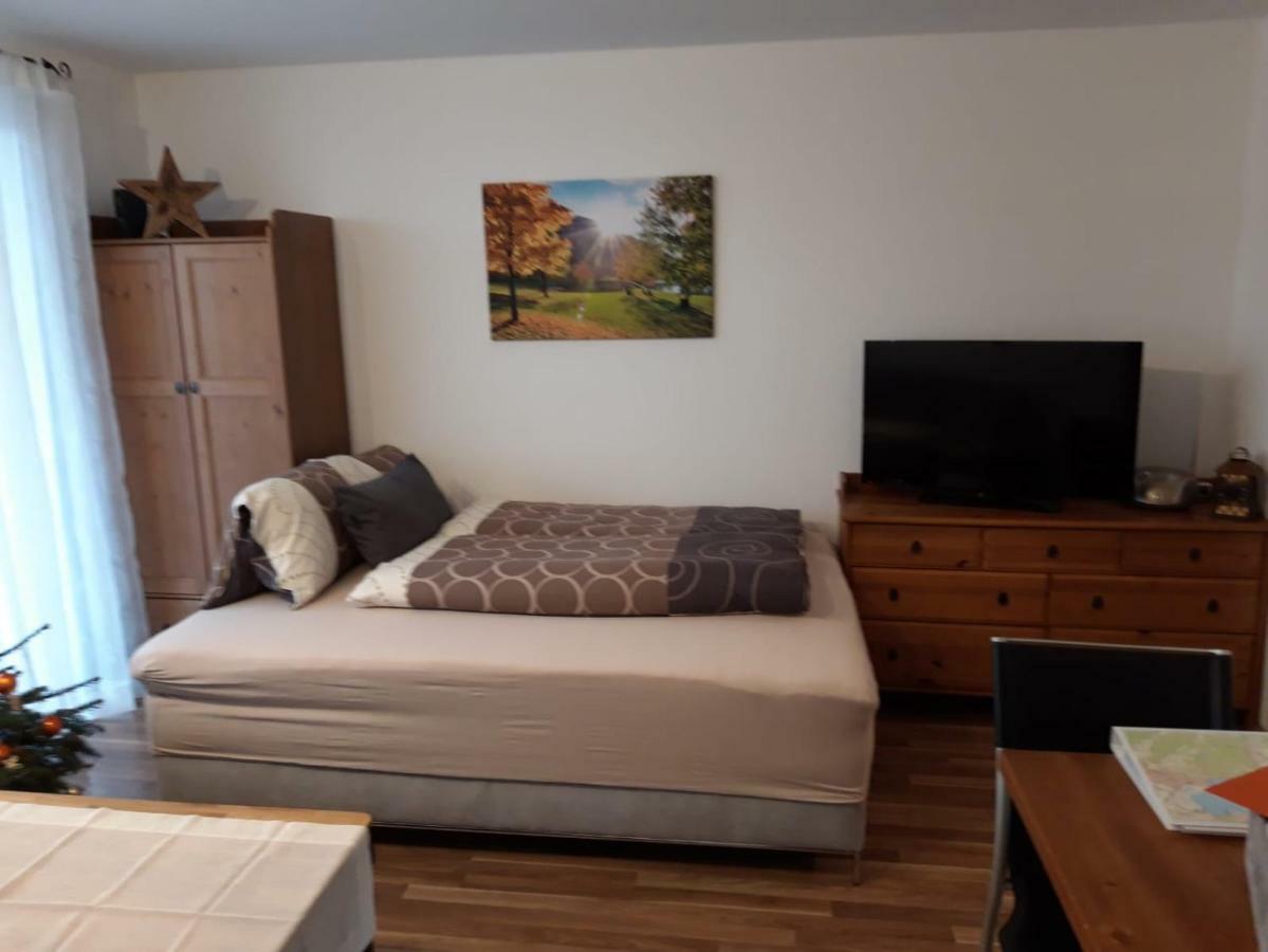 צל-אם-זי Apartment Kendlbacher מראה חיצוני תמונה